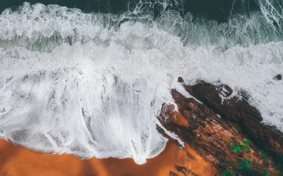 Can You See the Shoreline?